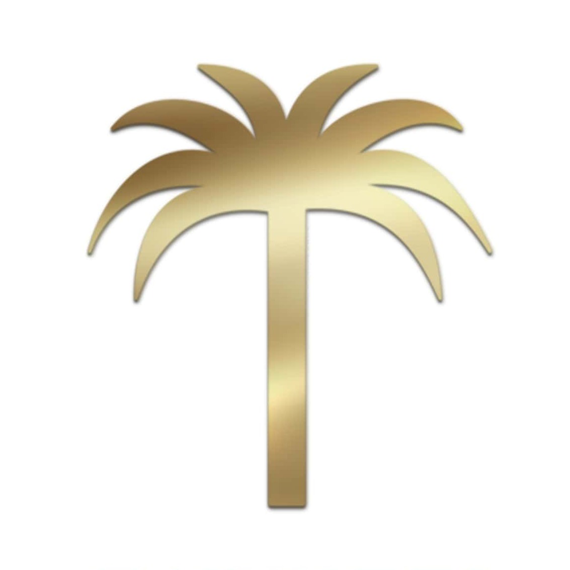 Palm logo